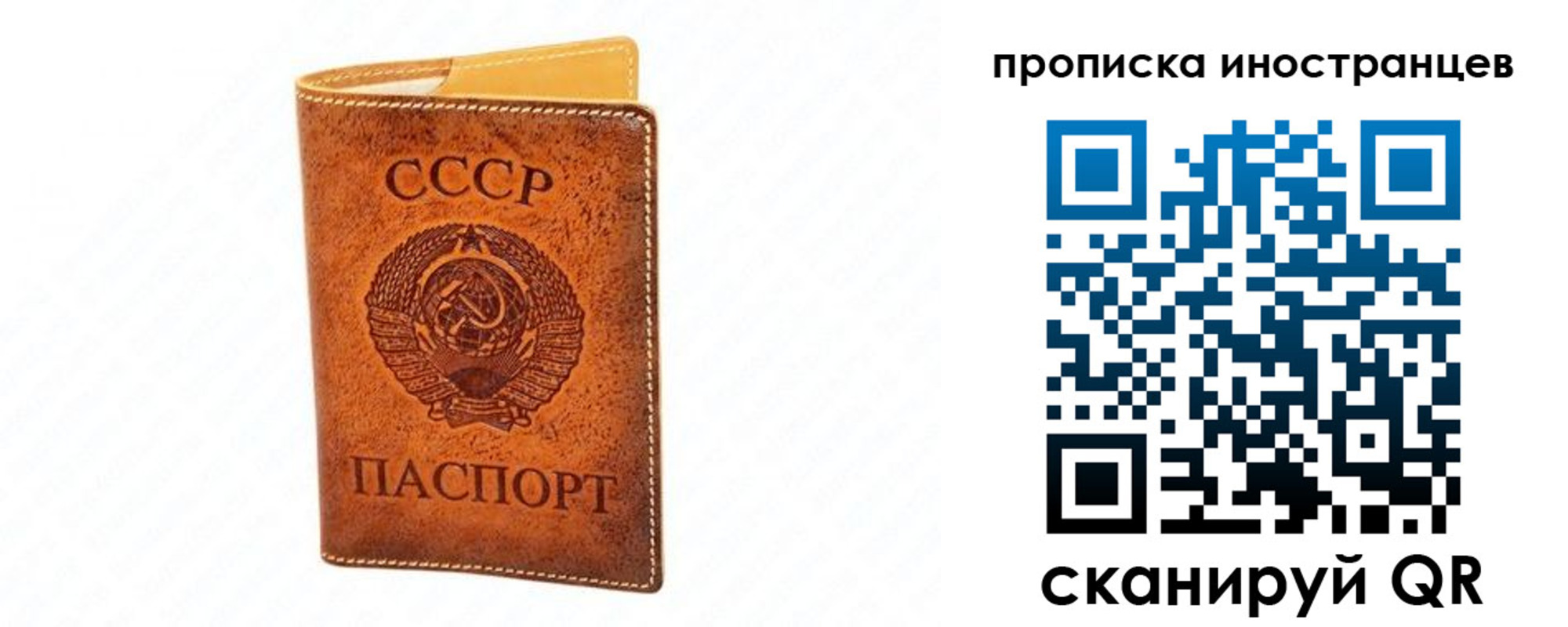 прописка для школы в Агрызе